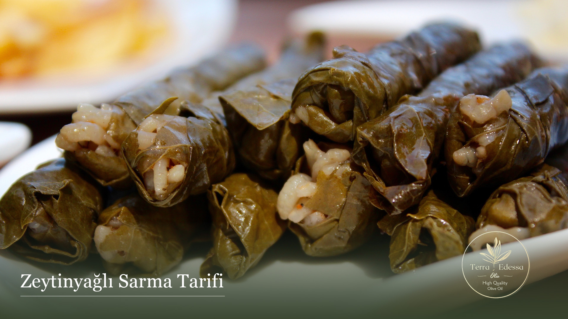 zeytinyagli sarma tarifi
